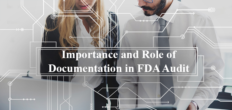 Importance and Role of Documentation in FDA Audit