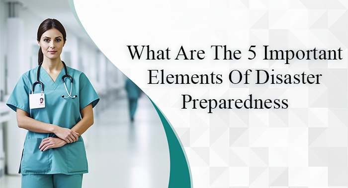 What Are The 5 Important Elements Of Disaster Preparedness